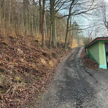 Slowianka-chatka Pod Lasem *